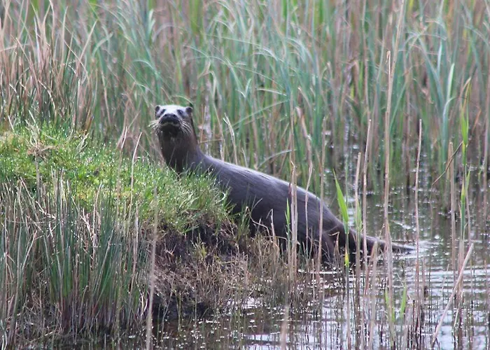 Holiday home 357 Oak